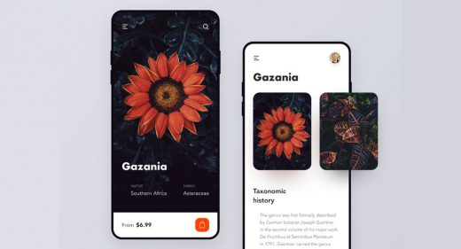 Flowers mobile shop concept for Figma