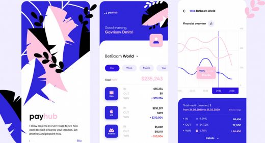 Payhub finance app Figma concept